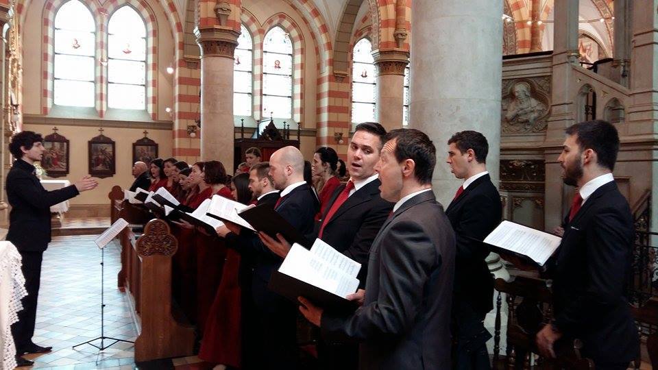 13043540_559840400859149_6850217904475368894_n