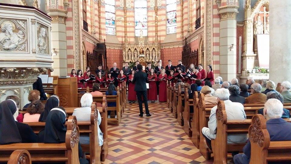 13096140_559840380859151_6339893601375327335_n