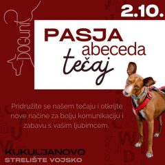 Listopad 2024 – PASJA ABECEDA (tečaj)