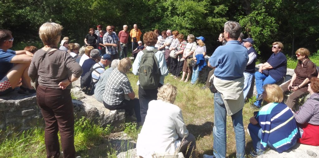 Cickini Ranko Starac