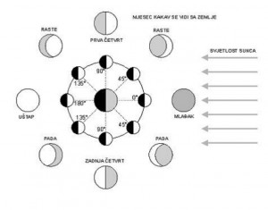 Untitled - 11