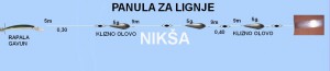 panula 1