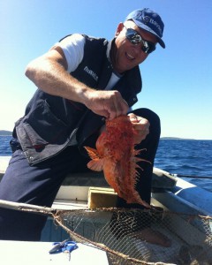 10734241_789235641135229_6282418278295149258_n