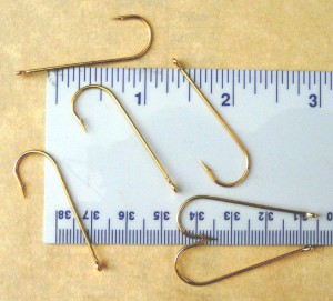 14417_795980537127406_7339351223128113669_n