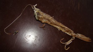 bd9e9175725ebf2114fce1e007087210_L