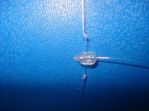perle-3-1024x768 (1)