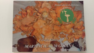Naslovnica knjige "Martinčica - 20 godina", Feručo Katičić
