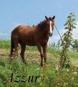 Azzur