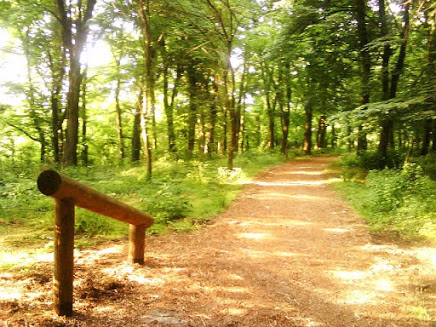 Trim staza Adica, foto Ak Maraton Vukovar
